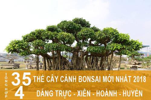 Các dáng thế cây cảnh