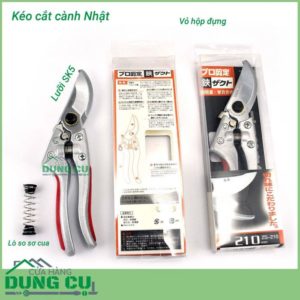 Cắt tỉa cây cảnh