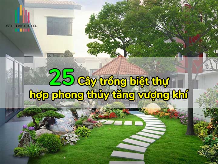 Cây cảnh sân vườn biệt thự