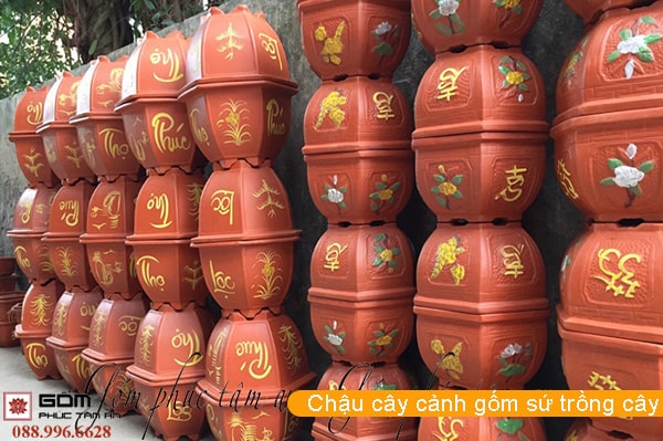 Chậu đựng cây cảnh