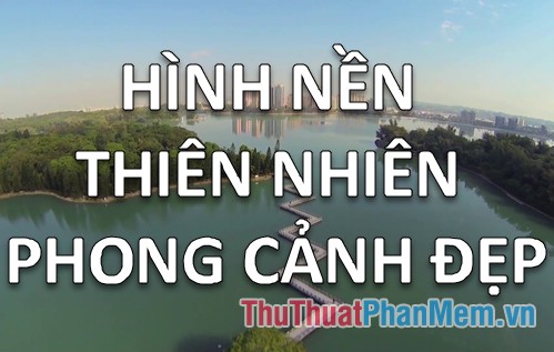 Hình nền cây cảnh