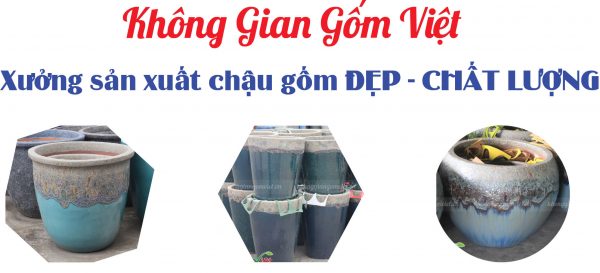 Mua chậu sứ trồng cây cảnh ở hà nội