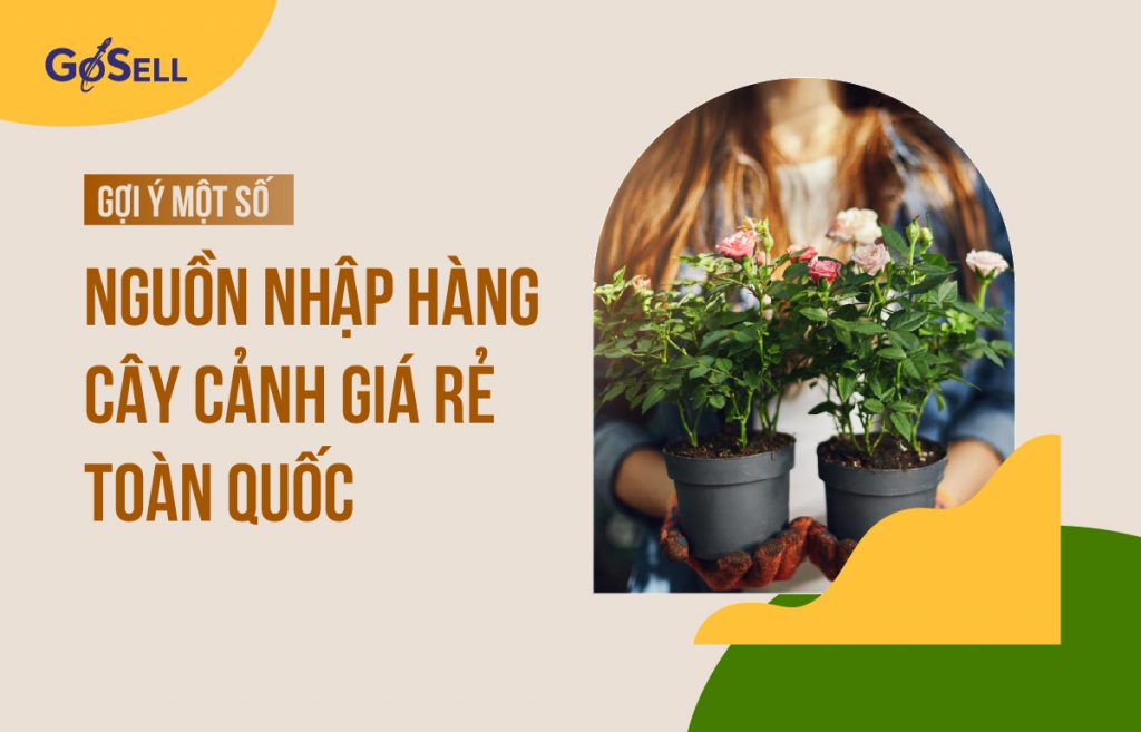 Nguồn nhập hàng cây cảnh