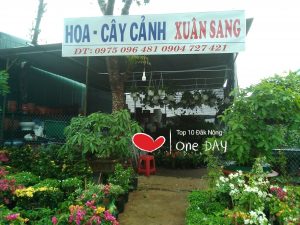 Tiệm cây cảnh